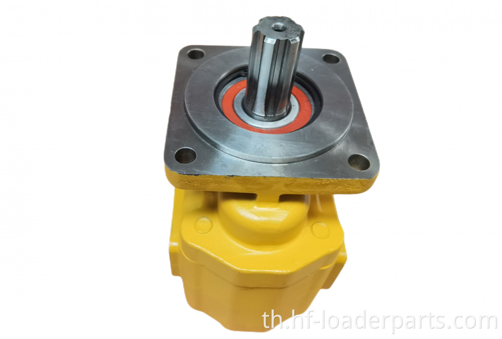 ปั๊มเกียร์ไฮดรอลิก hydraulic gear pump